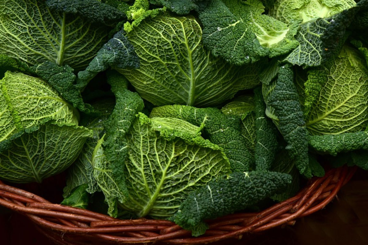सर्दियों में जल्दी सड़ जाती हैं आपकी हरी सब्जियां तो फिक्र न करें, तुरंत अपनाएं ये गजब की टिप्स