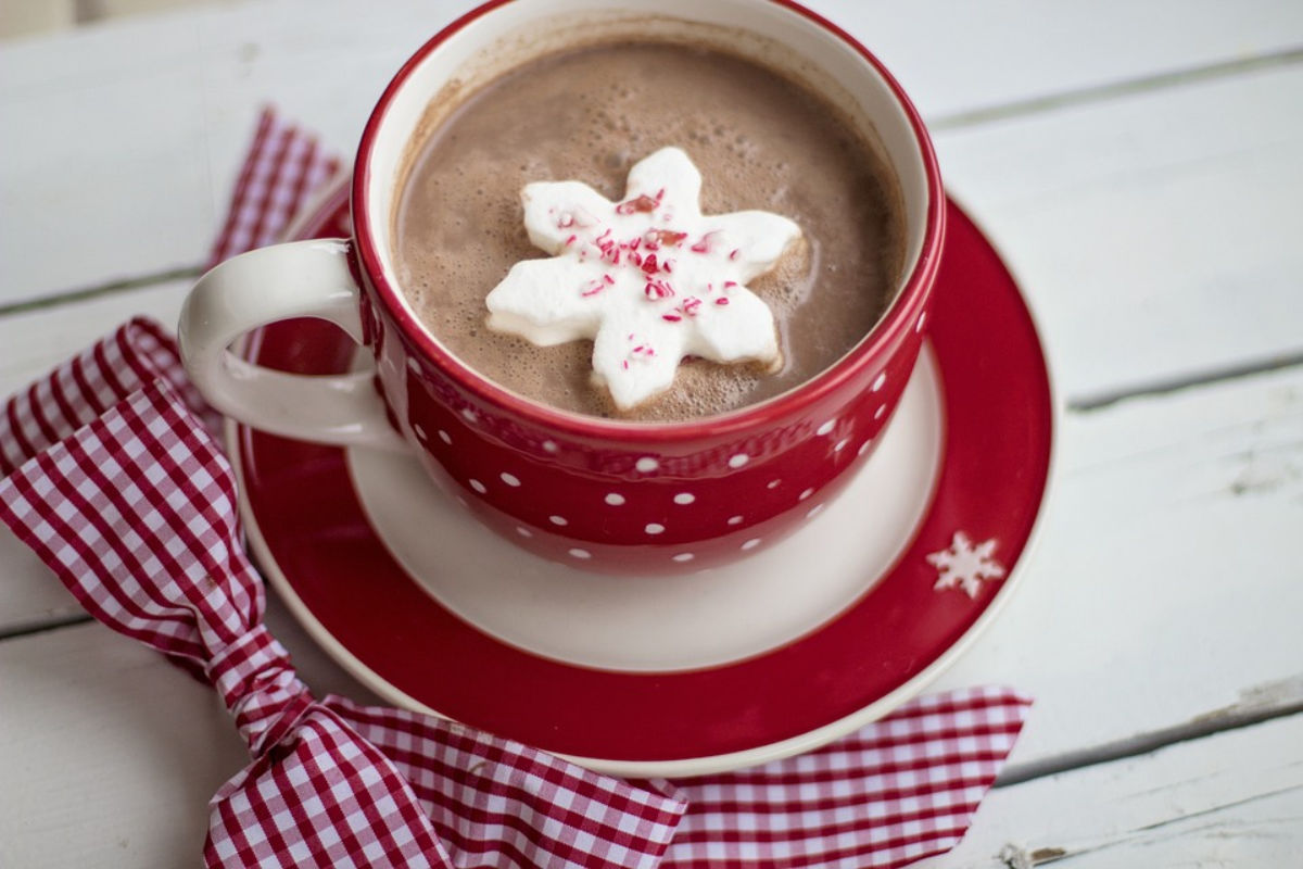 Chocolate Drinks: सर्दियों में बनाएं ये 3 चॉकलेट हॉट ड्रिंक, जानें बेहद सरल रेसिपी