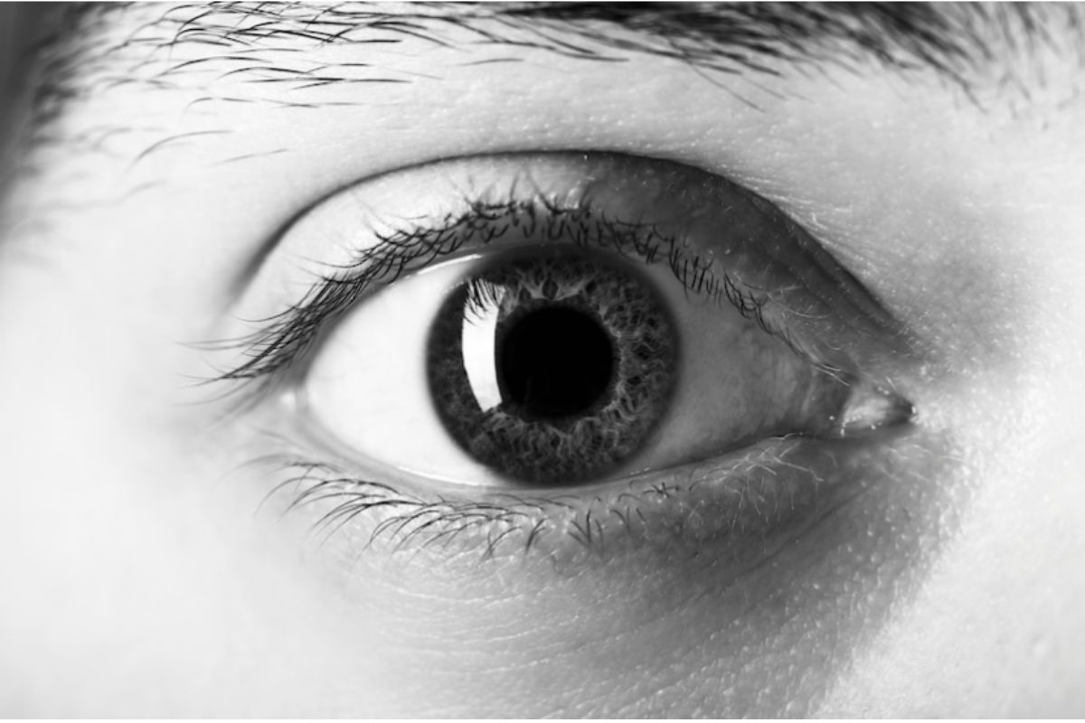 Good Eyesight Tips: शरीर में इन विटामिंस की कमीं से होती है नजर कमजोर, तुरंत इन चीजों को डाइट में करें शामिल