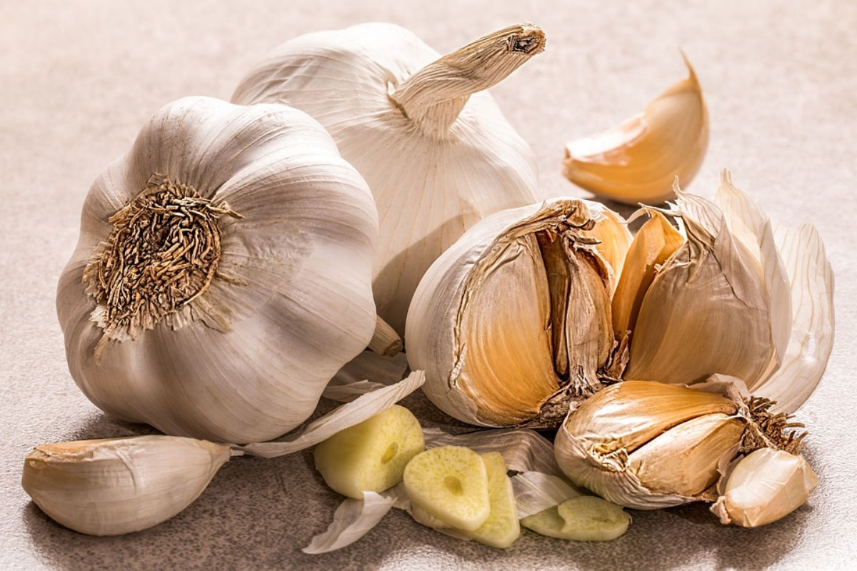 Garlic For Winter: सर्दी के मौसम में करें लहसुन का सेवन, होंगे ये 4 बड़े फायदे
