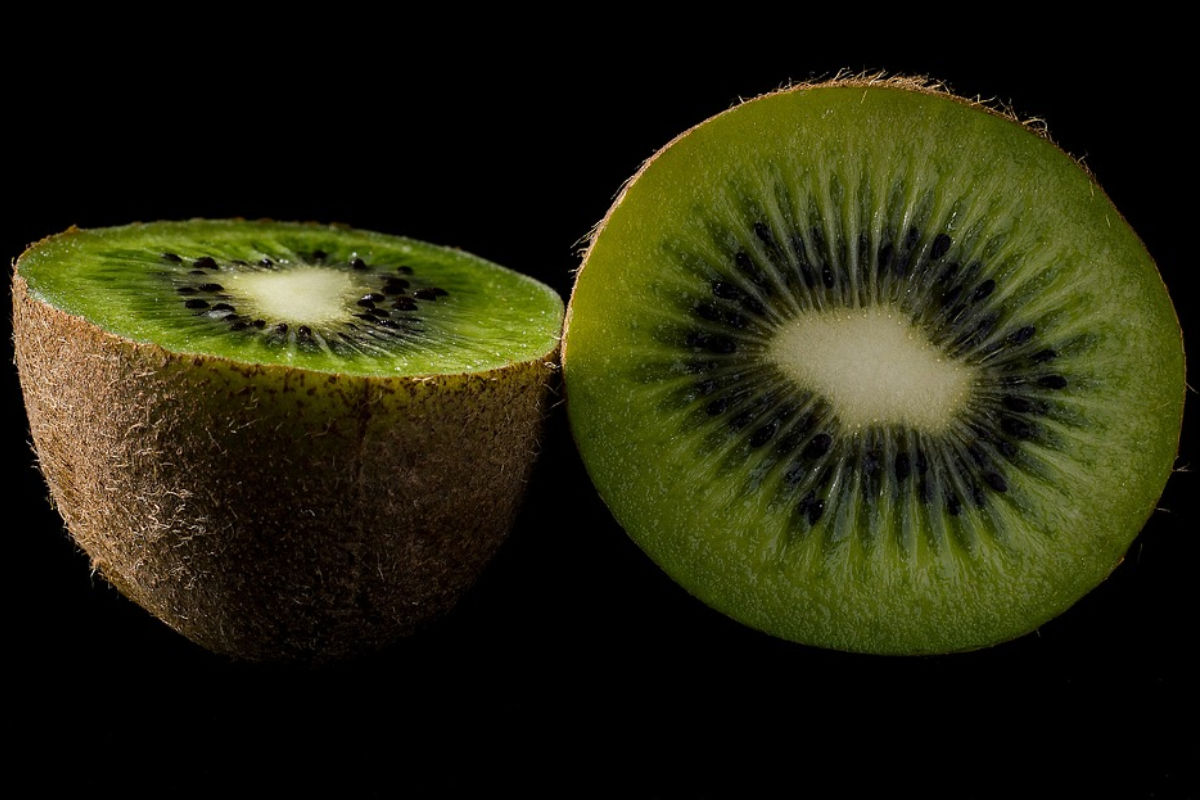एक दिन में कितना कीवी फल खाना चाहिए? ऐसे खाएंगे तो मिलेगा दोगुना फायदा