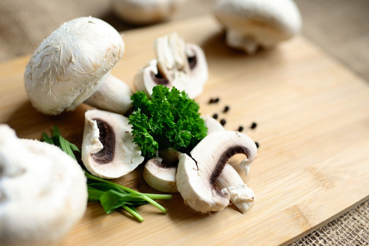 Mushroom: इन बीमारियों में न करें मशरूम का सेवन, वरना सेहत को होगा भारी नुकसान