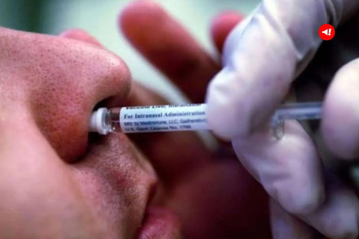 COVID Nasal Vaccine: कैसे करती है ये काम, किसे लगेगी, जानें हर एक बात