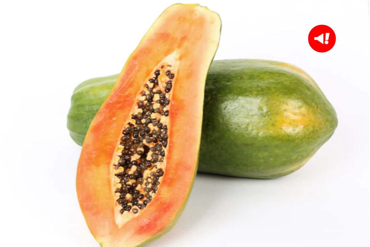 Papaya Seeds लीवर, किडनी, पीरियड्स, कोलेस्ट्रॉल सभी में फायदेमंद, जानें सेवन का तरीका