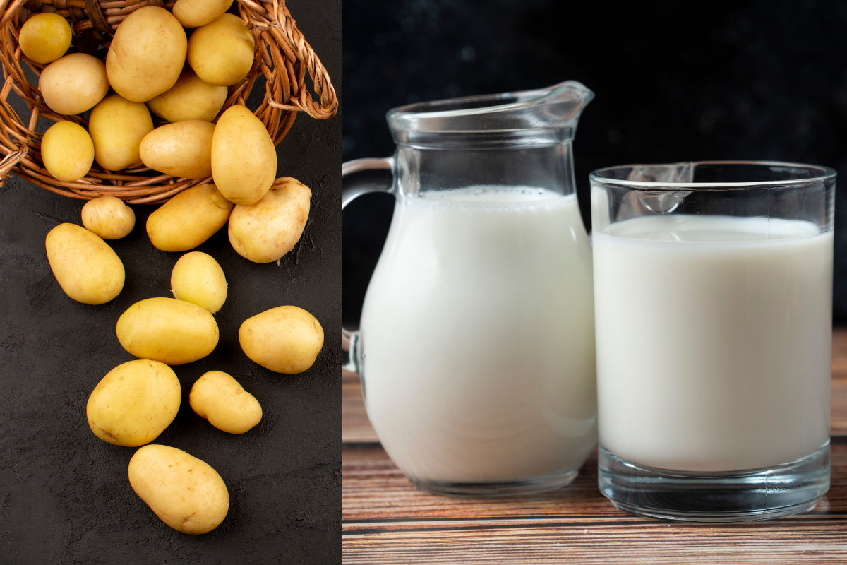 Potato Milk: जानें कैसे बनता है आलू का दूध, सेहत के लिए है बेहद फायदेमंद