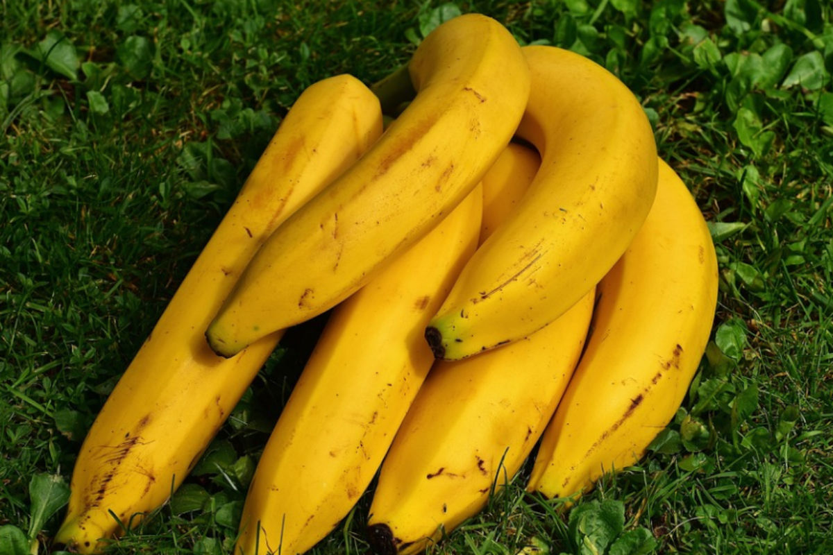 क्या केला और चावल खाने से वजन बढ़ता है? दूर करें ये गलतफहमी