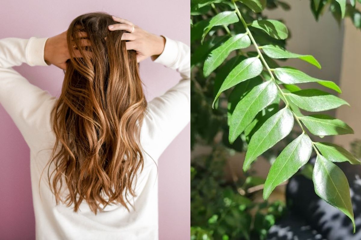 Curry Leaves For Hair: बालों की हर समस्या को दूर करता है करी पत्ता, जानें कैसे करते हैं उपयोग