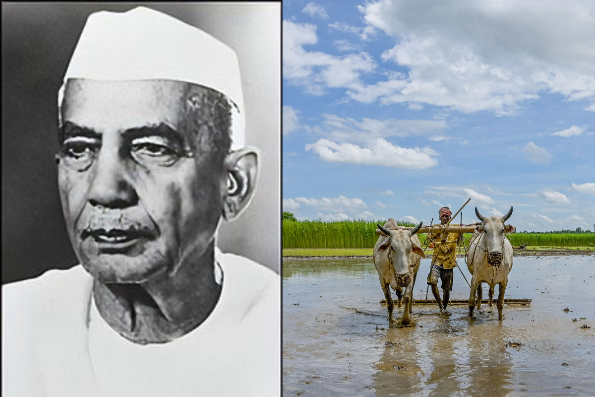 Kisan Diwas Status, Images, Quotes in Hindi: किसान दिवस पर भेजें ये हार्दिक शुभकामनाएं
