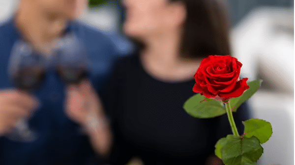 Valentine वीक के पहले दिन Rose Day ही क्यों मनाया जाता है? इसके पीछे की कहानी जानिए