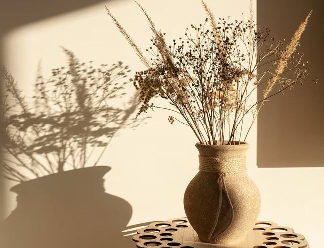 Vastu Tips: आपके घर में हैं ये 3 तरह के पौधे? अगर हां तो तुरंत हटा दें!