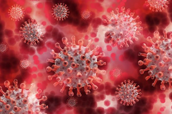 Covid-19: देश में 79 लाख के पार हुए कोरोनावायरस के मामले, एक दिन में आए 45 हजार से ज्यादा नये केस
