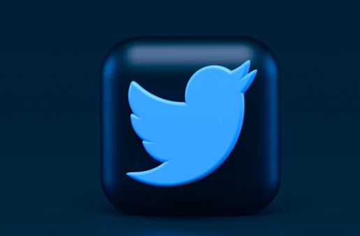 Twitter को केंद्र सरकार की आखिरी चेतावनी, नियम मानें या भुगतने के लिए तैयार रहें