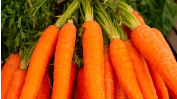 गाजर के छिलकों को बेकार समझकर फेंक देते हैं? गलती कर रहे हैं, ऐसे करें इस्तेमाल