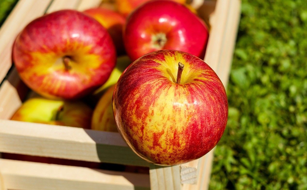 Apple Benefits: रोजाना एक सेब खाने के फायदे जान लें, दांत और आंखों के लिए लाभकारी