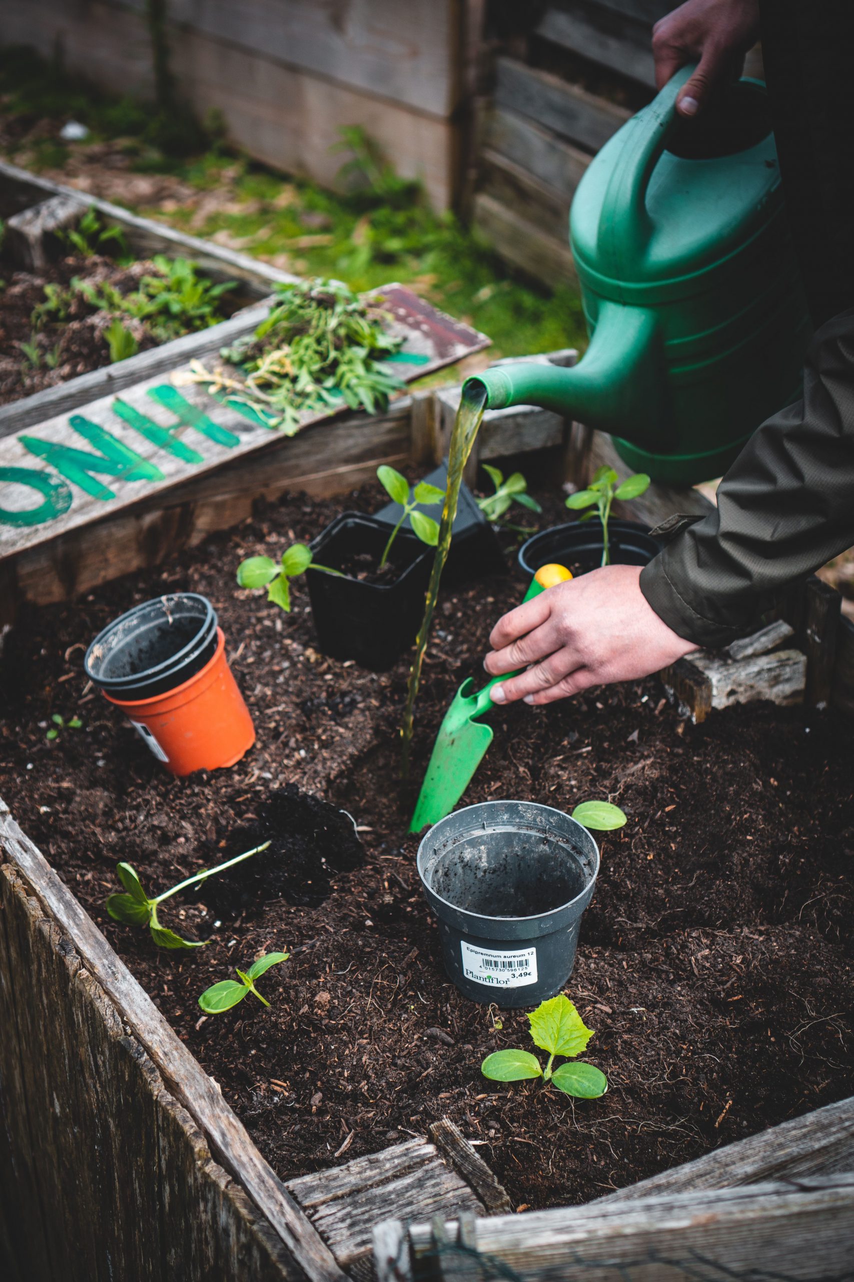 Gardening Tips: बागवानी के लिए आपके पास जरूर होने चाहिए ये पांच उपकरण