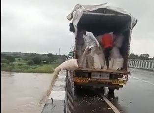 VIDEO: MP के किसान नदी में फेंक रहे लहसुन की बोरियां, जानें क्या है मामला