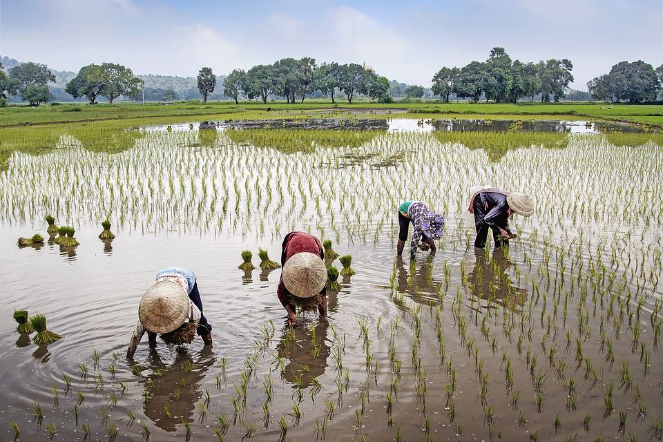 किन किसानों को नहीं मिलेगी PM Kisan Yojana की 12वीं किस्त, यहां जानें