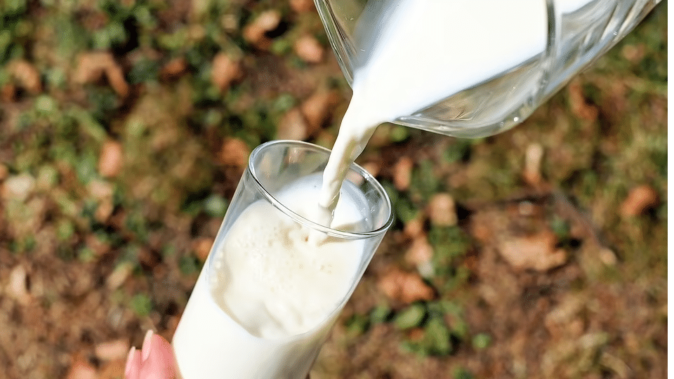 High Uric Acid पेशेंट्स को क्या दूध का करना चाहिए सेवन? अभी जानें