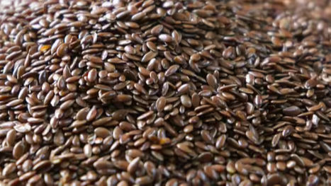 Roasted Flax Seeds: भुनी अलसी खाने से सेहत को मिलते हैं कई फायदे, जानें सेवन का तरीका