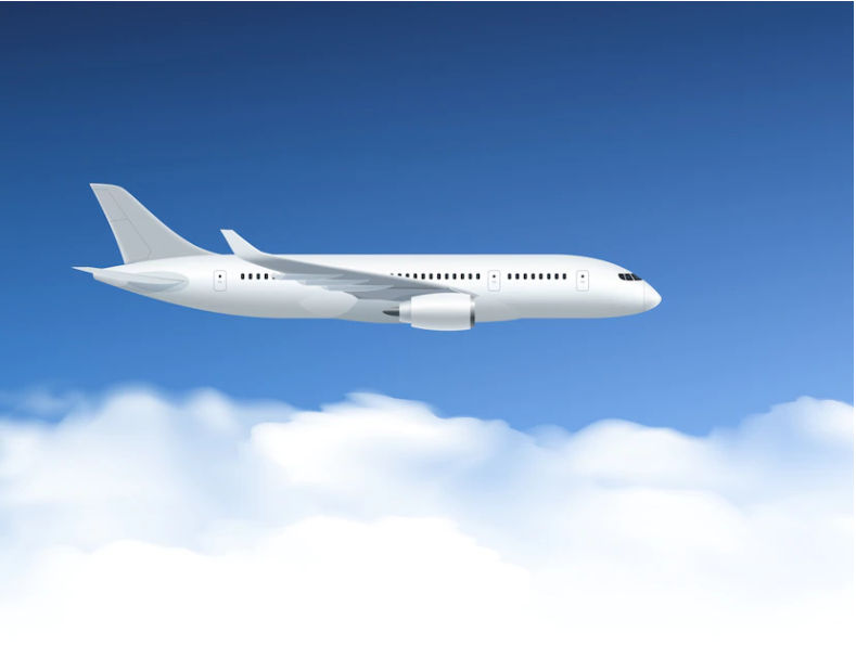 Flight Booking: मात्र 100 रुपये में तय करें हवाई सफर! IRCTC दे रहा है मौका