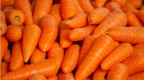 वैसे तो गाजर शरीर के लिए बहुत फायदेमंद, लेकिन ये 5 तरह के लोग भूलकर भी न करें सेवन