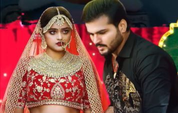 Bhojpuri Song: मेरे यार की शादी है का हिंदी लिरिक्स क्या है? यहां जानें