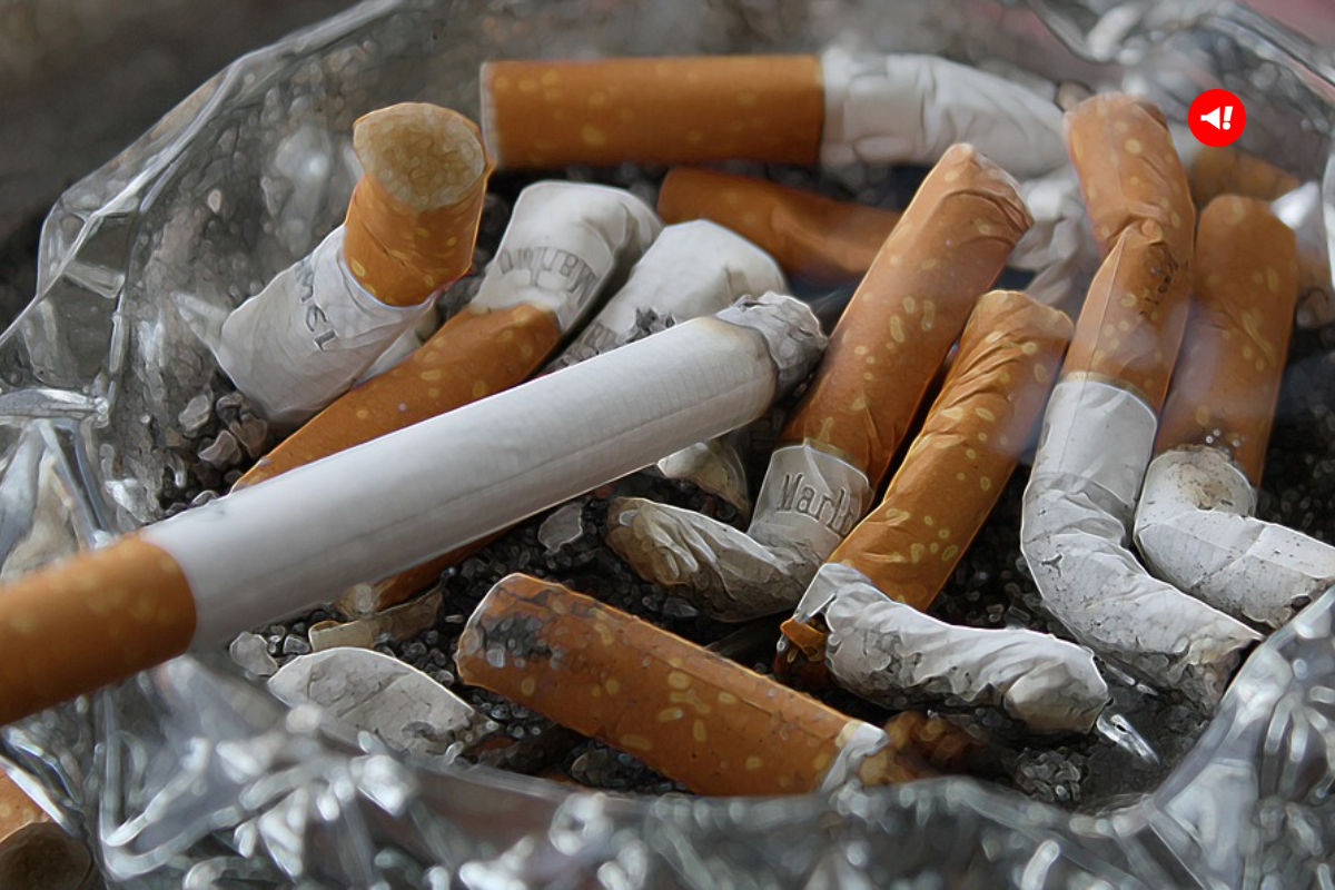 Smoking Kills: जानलेवा है स्मोकिंग, इन 5 भयानक बीमारियों का है मुख्य कारण