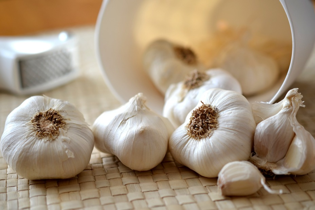 Garlic Benefits: लहसुन के सेवन से कंट्रोल होगा ब्लड प्रेशर, सेहत को मिलेंगे ये 5 फायदे