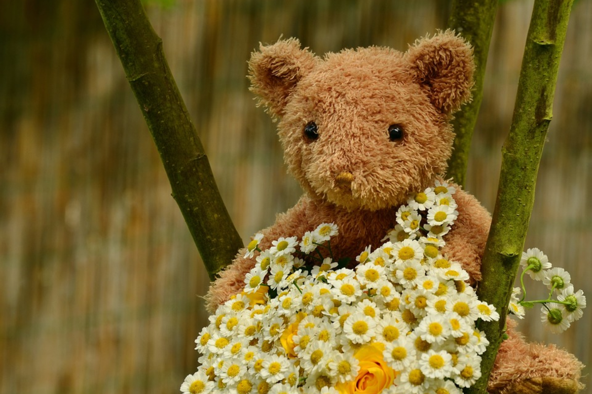 Teddy Day Wishes for Best Friend in Hindi: टेडी डे पर अपने दोस्त को भेजें ये बेहद खास और प्यारी विशेज