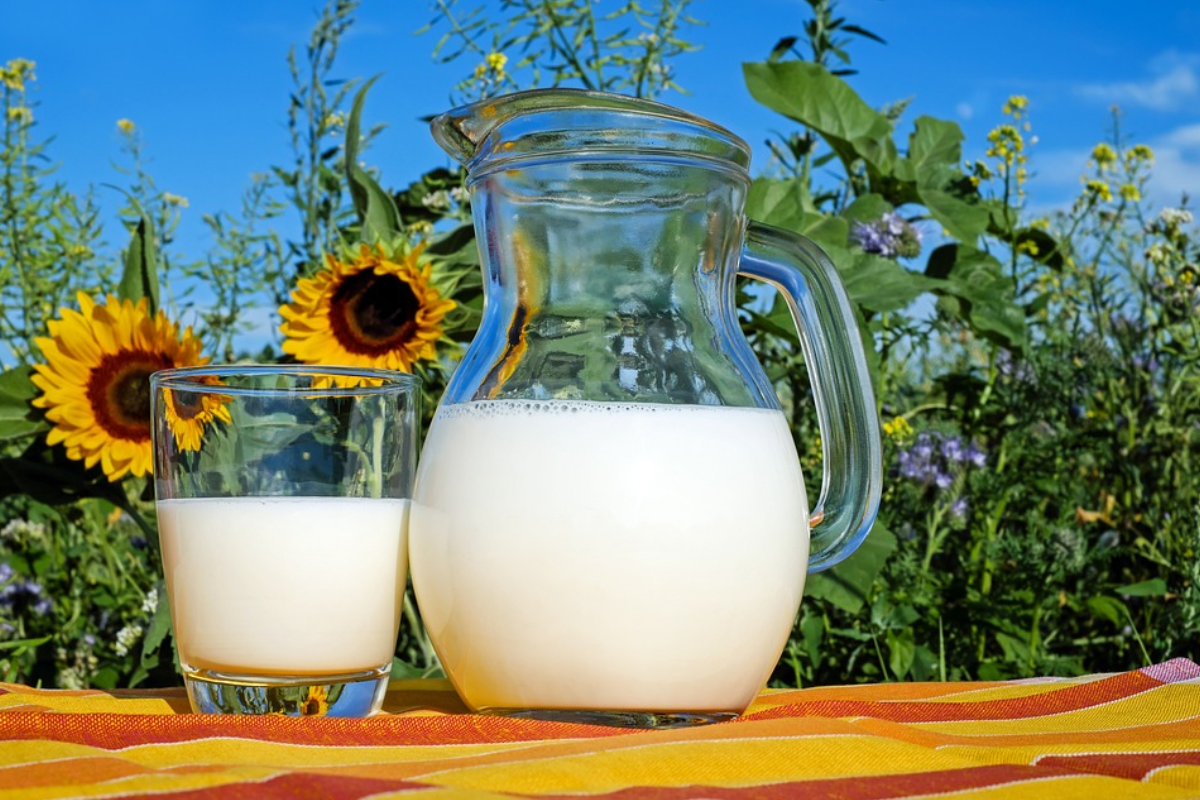 Raw Milk: कच्चा दूध का सेवन भूलकर भी न करें, वरना सेहत को होगा भारी नुकसान