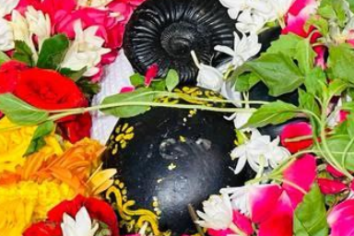 Adhik Maas Shaligram Puja: अधिक मास में करें तुलसी के साथ शालिग्राम की पूजा, समस्त पापों का नाश होने के साथ अखण्ड सौभाग्य होगा प्राप्त