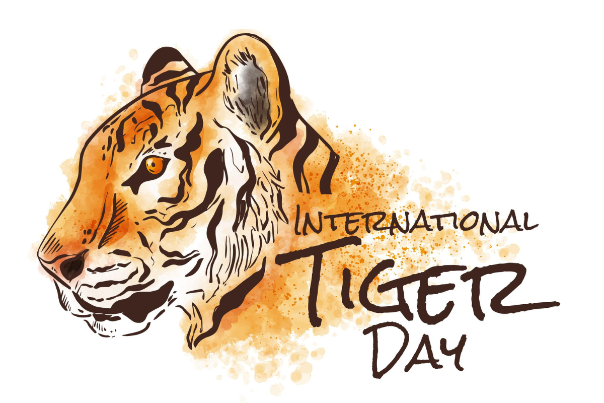 International Tiger Day 2023: कब मनाया जाता है अंतर्राष्ट्रीय बाघ दिवस? जाने इसका इतिहास और महत्व