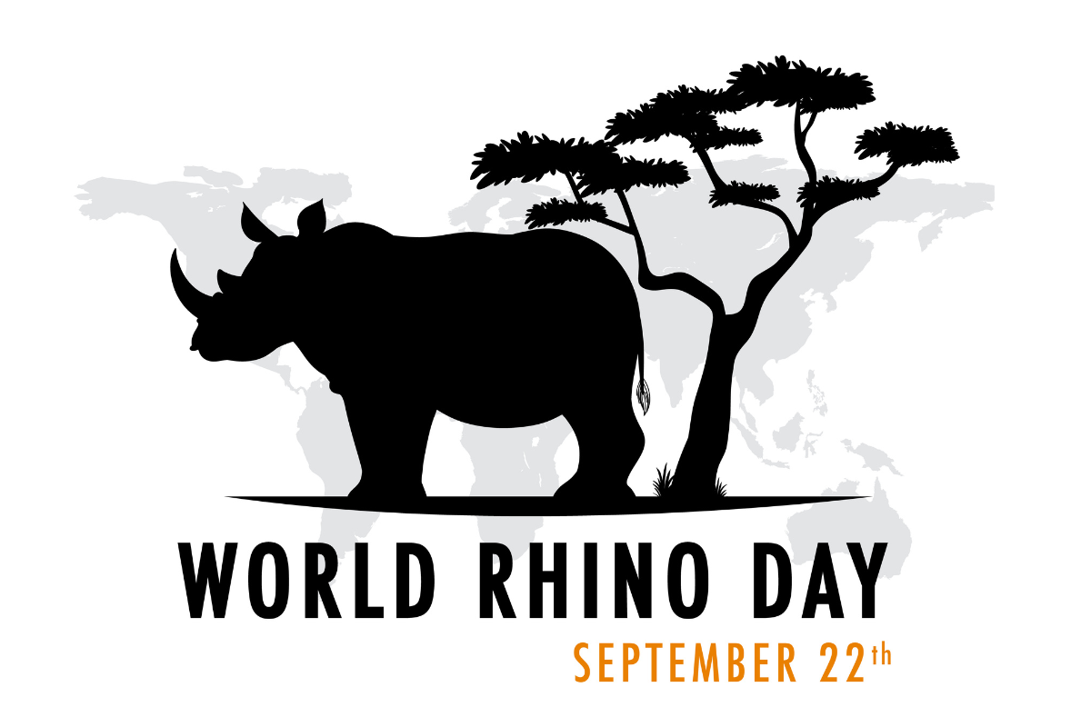 World Rhino Day 2023: कब मनाया जाता है विश्व गैंडा दिवस? जानिए इस दिन का इतिहास और महत्व