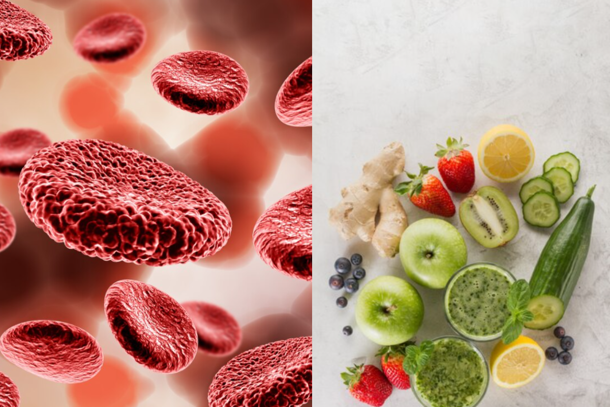 Best Foods For Platelets Recovery: प्लेटलेट काउंट बढ़ाने के लिए क्या करना चाहिए? जान लें खाने की चीजों के साथ कम होने का कारण