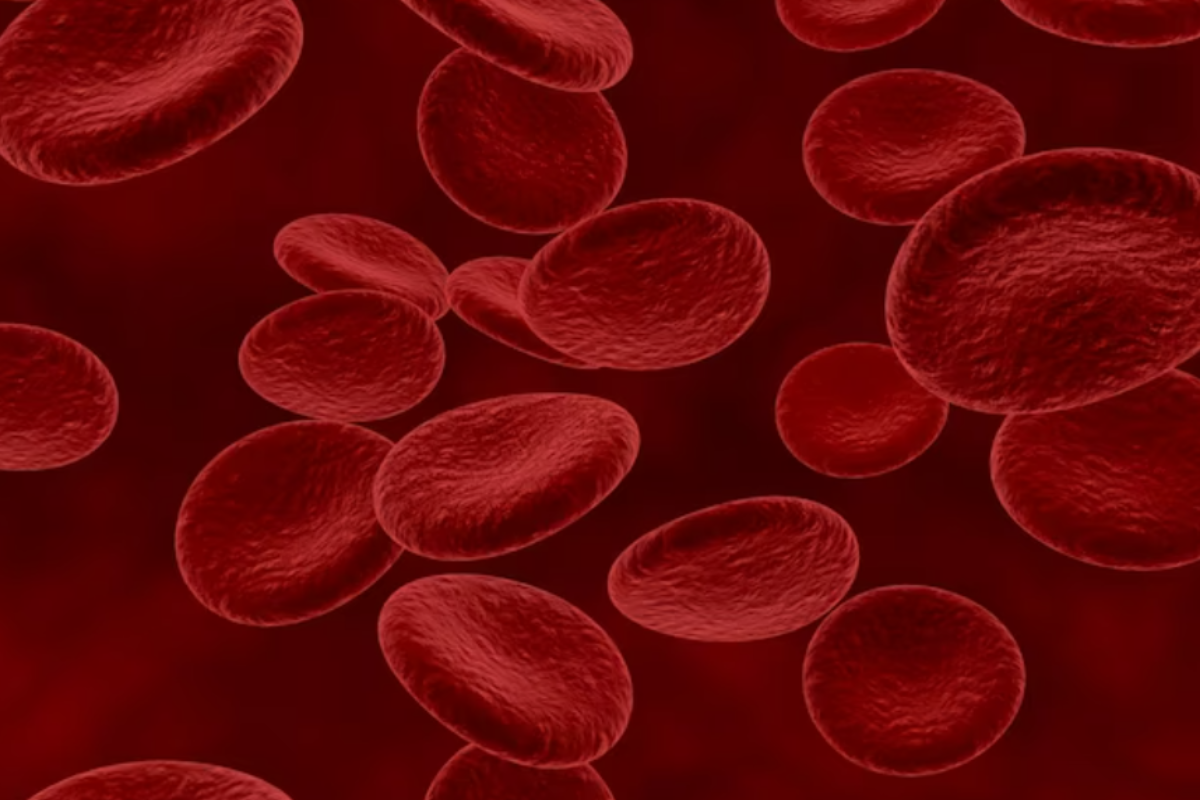 Platelets Facts: प्लेटलेट्स क्या होती हैं? जान लें नार्मल प्लेटलेट्स संख्या, लो प्लेटलेट्स लक्षण और बढ़ाने का तरीका