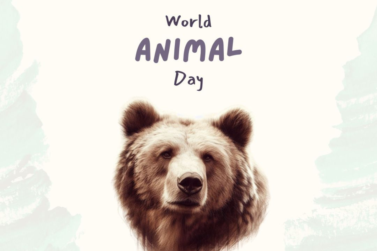World Animal Day Quotes in Hindi: इन मैसेज और कोट्स के जरिए लोगों को दें विश्व पशु दिवस की शुभकामनाएं