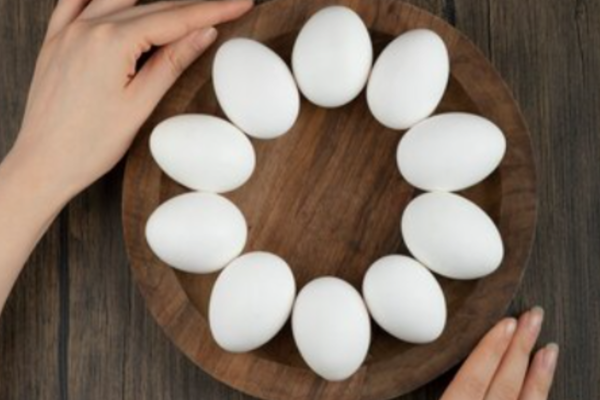 World Egg Day 2023: विश्व अंडा दिवस क्यों मनाया जाता है? जान लें महत्व, उद्देश्य और साल 2023 का थीम